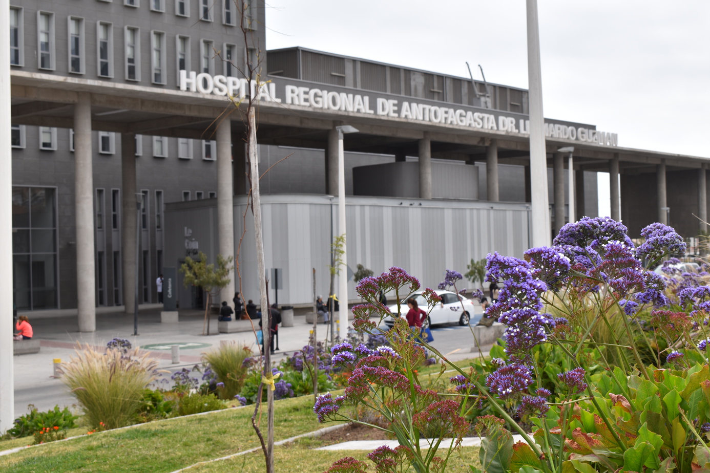 Salud Siglo XXI resalta por el mantenimiento de los hermosos jardines del Hospital