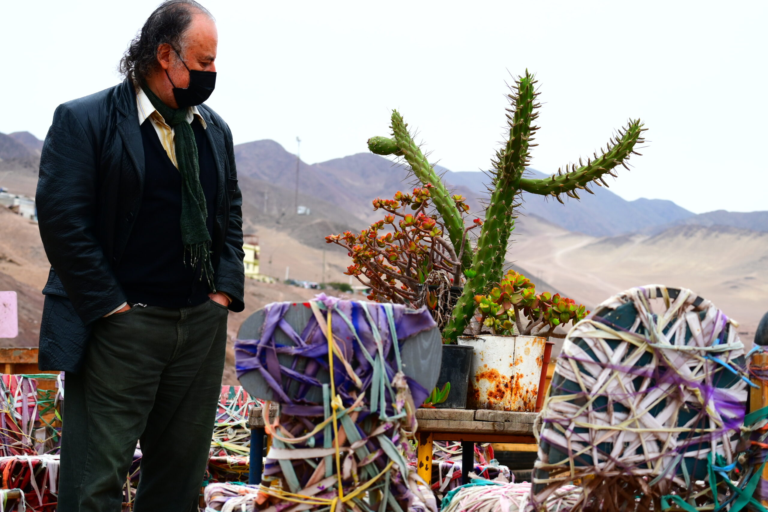 Desde el Bosque Escondido de Antofagasta: Entrevista al destacado psicólogo Mariano Muñoz-Hidalgo
