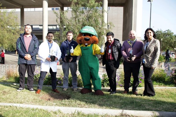 Celebramos el Día Mundial del Árbol promoviendo áreas verdes